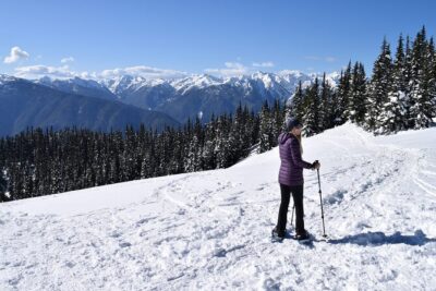 Hurricane Ridge Guided Snowshoe Tour in Olympic National Park - Lunch around the midpoint: why the break makes the hike better
