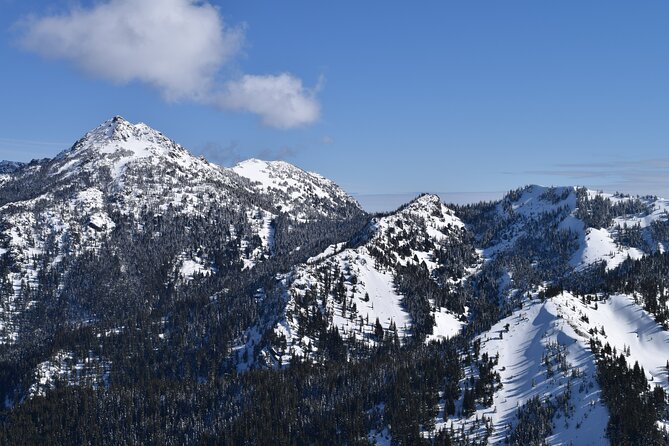 Hurricane Ridge Guided Snowshoe Tour in Olympic National Park - Price and value: what you get for $190