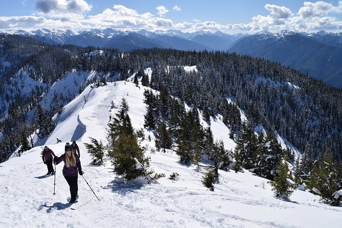Hurricane Ridge Guided Snowshoe Tour in Olympic National Park - Gear, shoes, and what to think about before you go