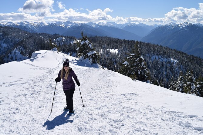 Hurricane Ridge Guided Snowshoe Tour in Olympic National Park - Who this tour suits best (and who might want a backup plan)