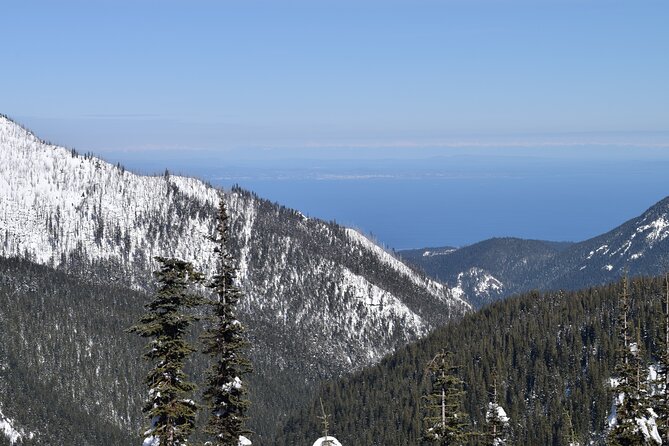Hurricane Ridge Guided Snowshoe Tour in Olympic National Park - Weather reality at Hurricane Ridge: plan for changes