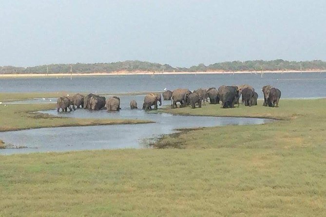 Hurulu eco park jeep safari - Key highlights you should actually care about