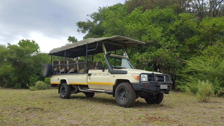 Hwange Big 5 Wildlife Safari – Day Trip from Victoria Falls - Key things I’d focus on before you go