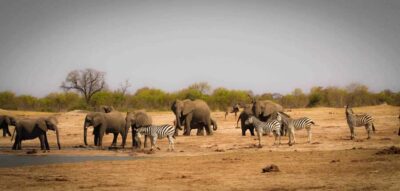 Hwange Big 5 Wildlife Safari – Day Trip from Victoria Falls - The long scenic drive: Victoria Falls to Hwange (and back)