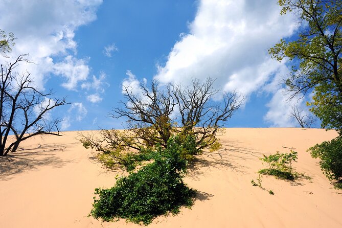 Indiana Dunes National Park Self-Guided Audio Tour - Mt. Baldy’s wandering dune: stairs, sand, and why tourists changed everything