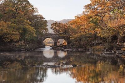 Innisfallen Island - Scenery & history of Killarney National Park - Why the Guides Matter: Local Stories, Practical Safety, and Q&A Time