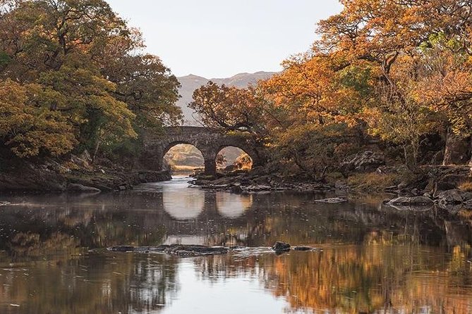 Innisfallen Island - Scenery & history of Killarney National Park - Why the Guides Matter: Local Stories, Practical Safety, and Q&A Time