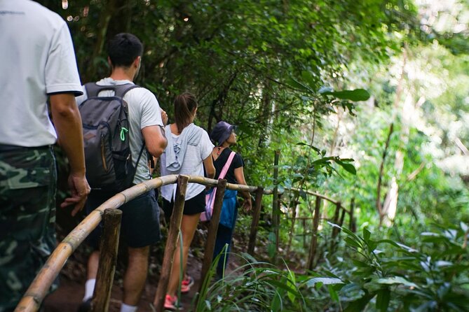 Inthanon National Park Tour with Soft Hike at Pha Dok Siew Trail - Why this tour feels like good value in Chiang Mai