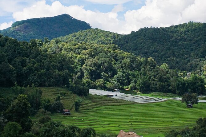 Inthanon National Park Tour with Soft Hike at Pha Dok Siew Trail - Stop 1: Doi Inthanon basics, highest-point energy, and a 2-hour nature block