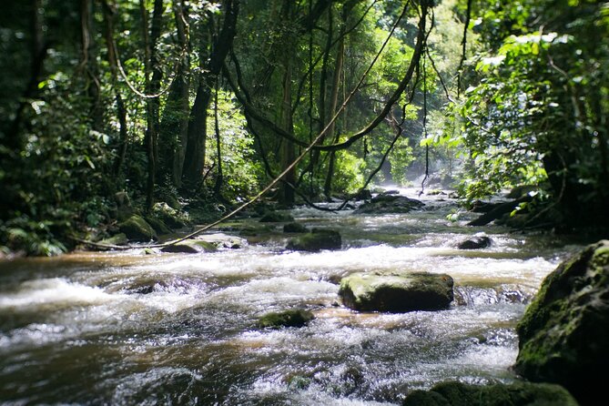 Inthanon National Park Tour with Soft Hike at Pha Dok Siew Trail - Stop 3: Phra Maha Dhatu Naphamethinidon and Naphaphonphumisiri pagodas
