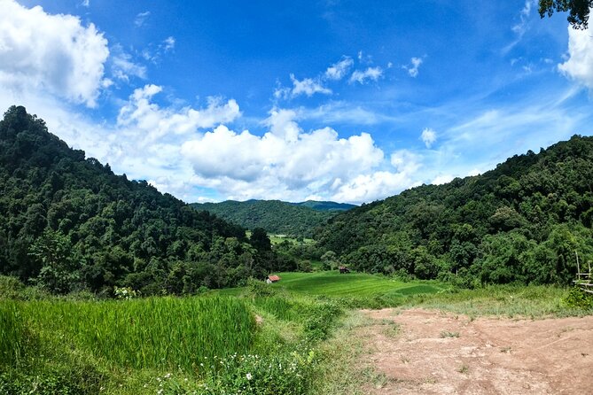 Inthanon National Park Tour with Soft Hike at Pha Dok Siew Trail - Stop 4: Hmong market browse for 30 minutes (and a reality check)