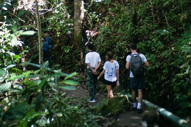 Inthanon National Park Tour with Soft Hike at Pha Dok Siew Trail - Stop 5: Royal Agricultural Station Inthanon and a Thai set lunch