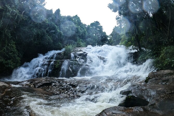 Inthanon National Park Tour with Soft Hike at Pha Dok Siew Trail - Stop 6: Pha Dok Seaw Waterfall soft hike and rice-terrace views