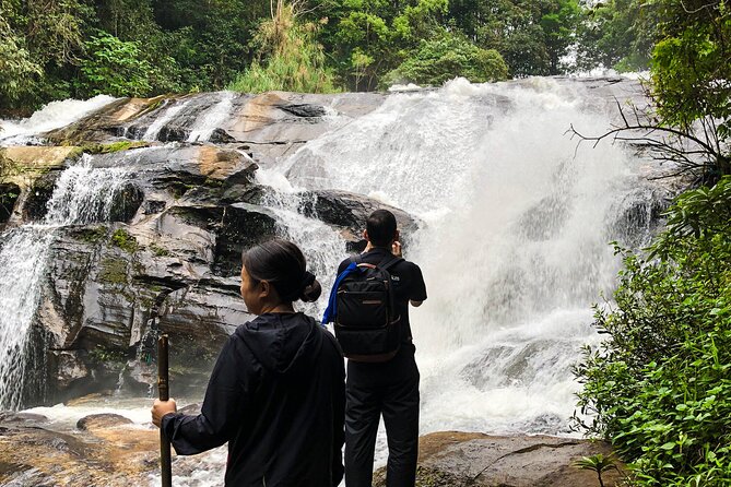 Inthanon National Park Tour with Soft Hike at Pha Dok Siew Trail - Getting to Doi Inthanon: morning pickup and what the schedule really means
