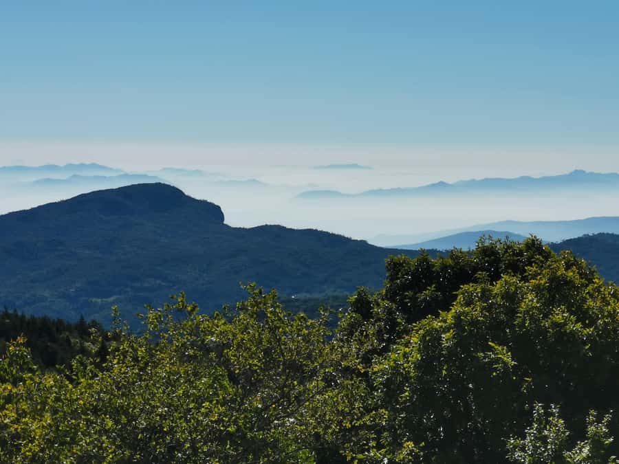 Inthanon national park, Trekking and Sightseeing in one day. - Guide Style Makes a Difference (Eddy and Bass Are a Big Part of the Value)