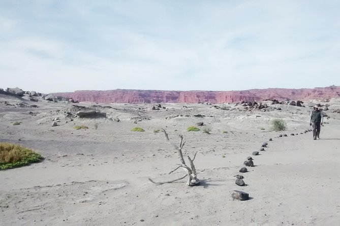 Ischigualasto National Park - Moon Valley - Entering Ischigualasto National Park: UNESCO geology and the fossil story
