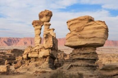 Ischigualasto National Park - Moon Valley - San Agustin del Valle Fertil: oasis plants, towns, and a change of pace