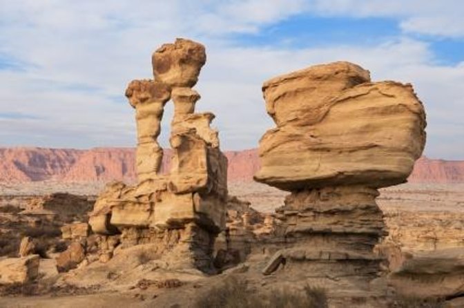 Ischigualasto National Park - Moon Valley - San Agustin del Valle Fertil: oasis plants, towns, and a change of pace