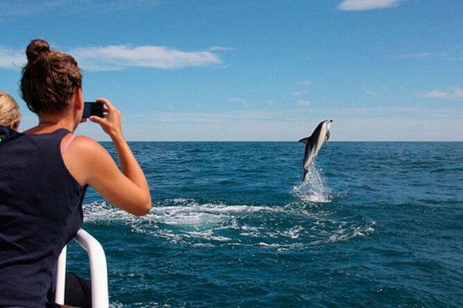 Island Visit National Park Brijuni & Dolphin Cruise - Key things I’d watch for before you go