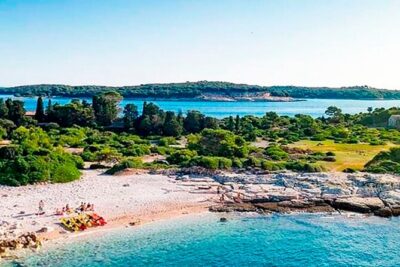 Island Visit National Park Brijuni & Dolphin Cruise - Timing from Pula: the 5.5-hour afternoon flow