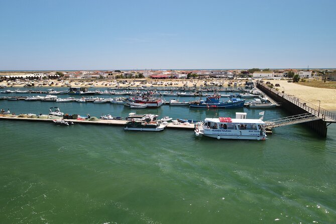 Islands Tour: Half Day Cruise in Ria Formosa Natural Park - On Board Experience: Live Commentary, Languages, and Sound Reality