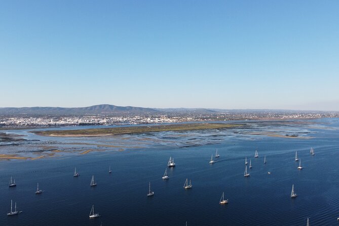 Islands Tour: Half Day Cruise in Ria Formosa Natural Park - Ilha do Farol: Quick Island Time and the Lighthouse Expectation Check