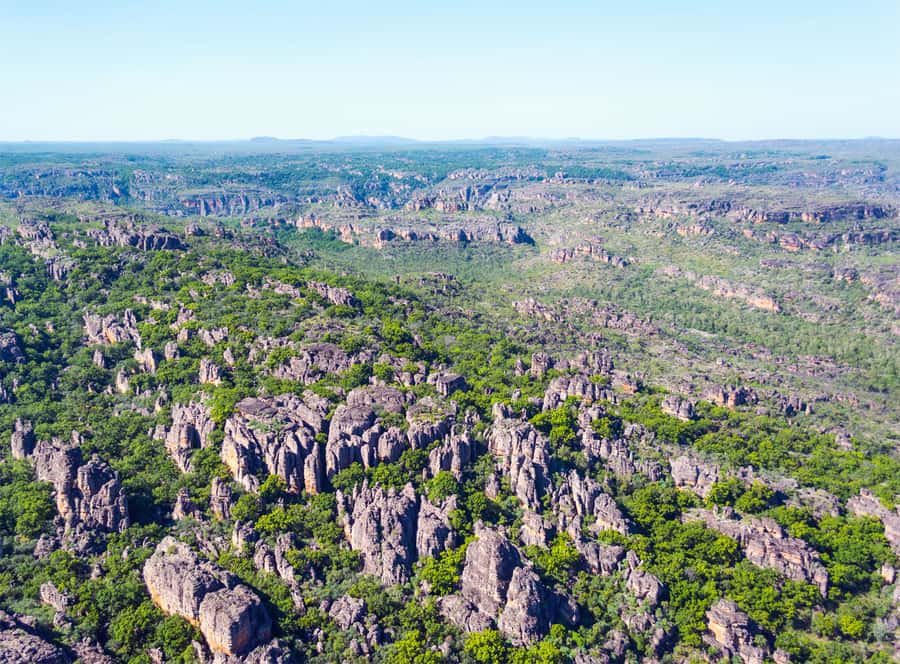 Jabiru: 30 minute Scenic flight over Kakadu National Park - Meeting Point and Getting There: The End of Arnhem Highway