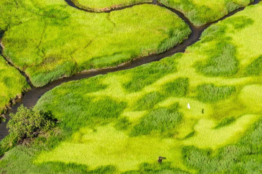 Jabiru: Guided Flight over Kakadu National Park - Kakadu From Above: What This Flight Gets Right