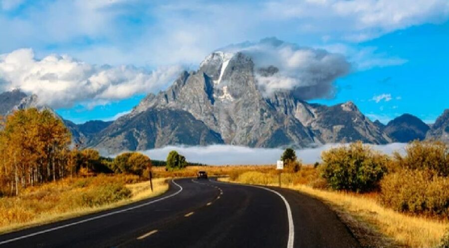 Jackson: Grand Teton National Park Guided Wildlife Tour - What wildlife is on the menu in Grand Teton