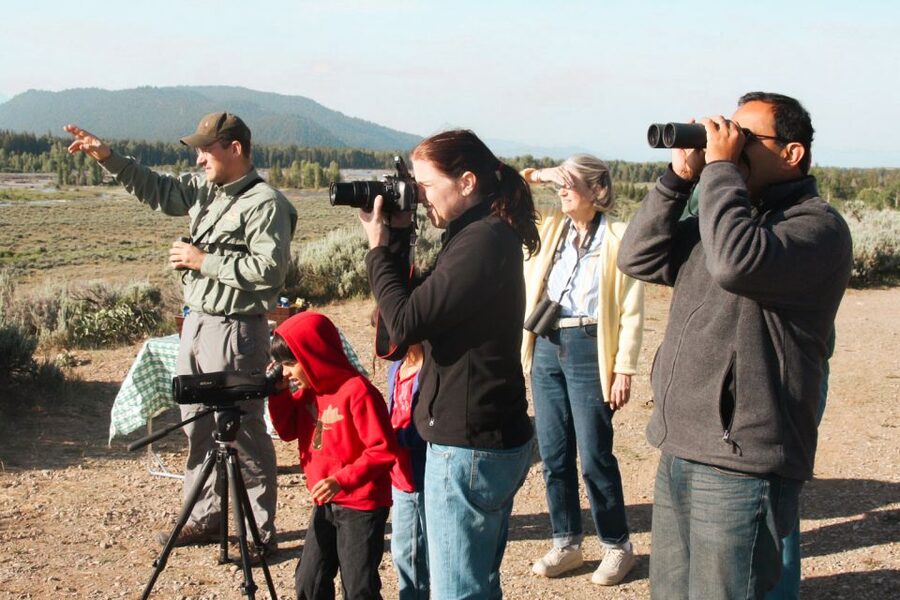 Jackson: Grand Teton National Park Guided Wildlife Tour - Price and value: is $159 worth a 4-hour safari?