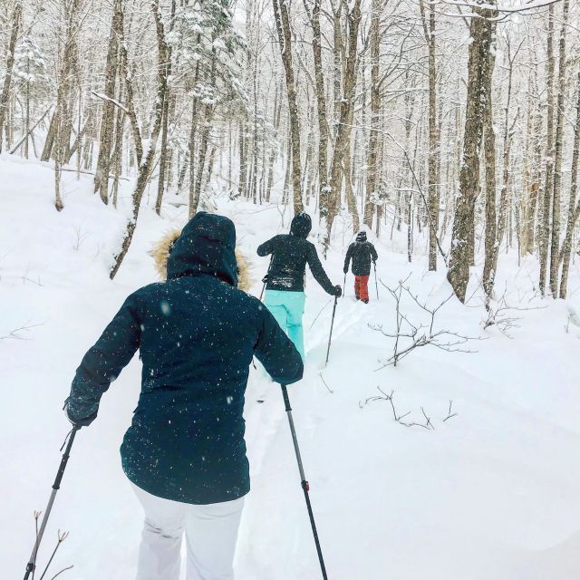Jacques-Cartier National Park: Skiing Excursion - Key things that make this tour worth your time