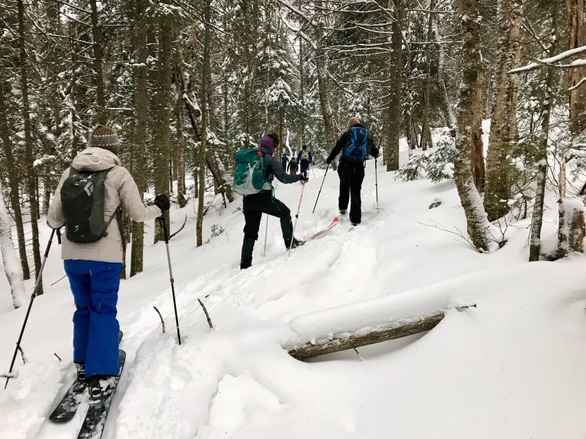 Jacques-Cartier National Park: Skiing Excursion - Should you book this Jacques-Cartier ski-shoeing experience?