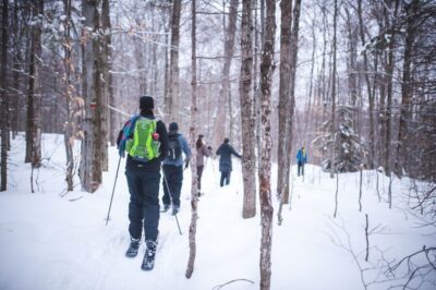 Jacques-Cartier National Park: Skiing Excursion - Quebec City pickup and the ride to the park lodge
