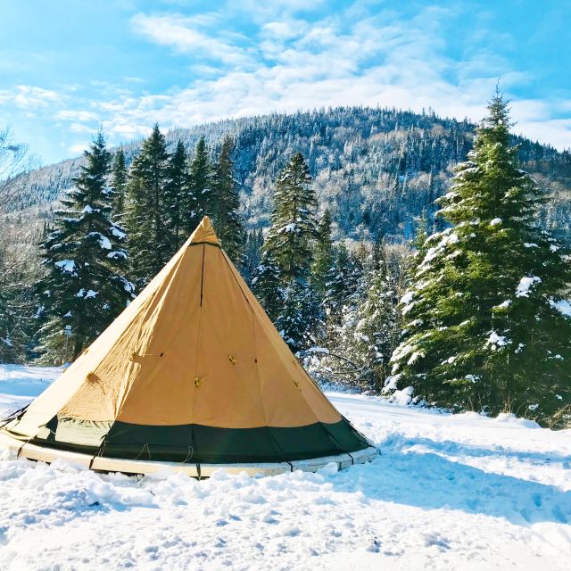 Jacques-Cartier National Park: Skiing Excursion - Winter wildlife spotting: deer, moose, and small signs you can actually see
