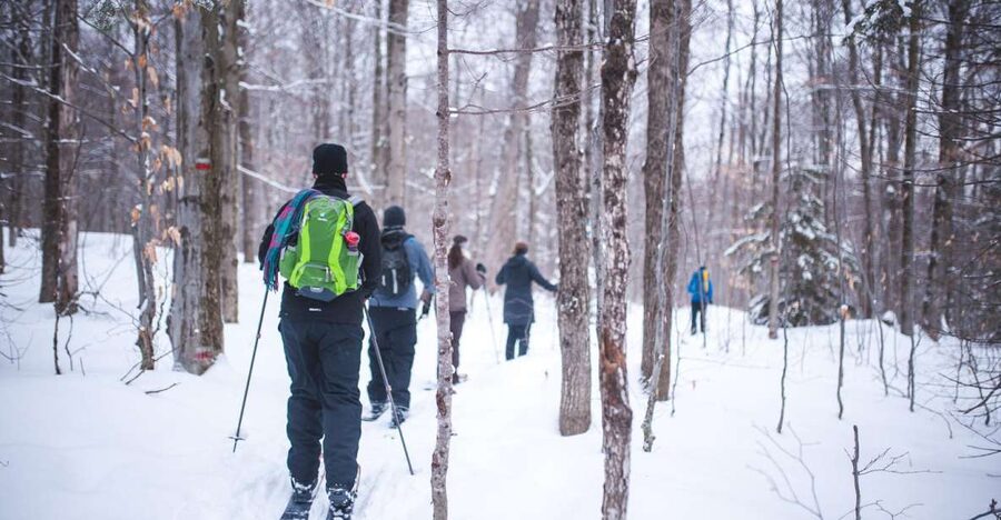 Jacques-Cartier National Park: Skiing Excursion - Food, comfort breaks, and the lunch that keeps you going