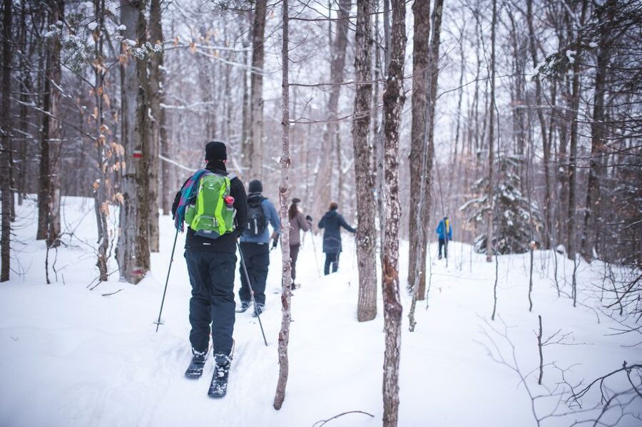 Jacques-Cartier National Park: Skiing Excursion - Quebec City pickup and the ride to the park lodge