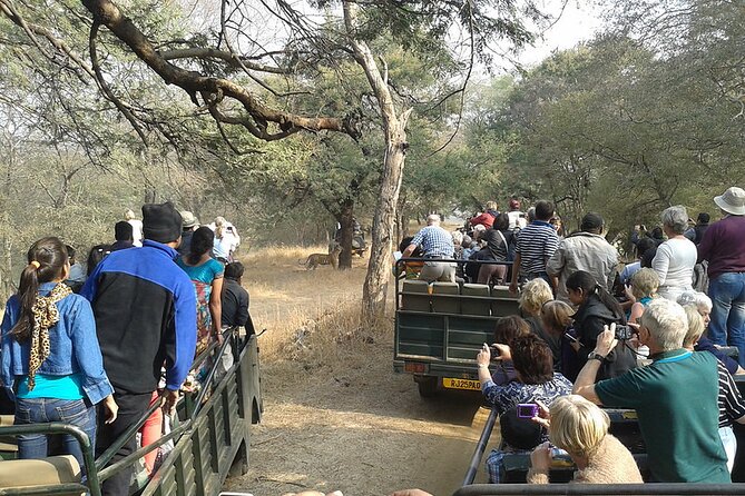Jaipur to Ranthambore National Park Private One Day Trip - Private A/C Car Comfort on the Jaipur–Ranthambore Drive