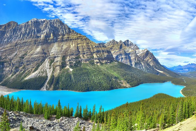 Jasper National Park 2-Day Tour: Maligne Lake & Columbia Icefield - Jasper National Park in Two Days: what this tour is really good at