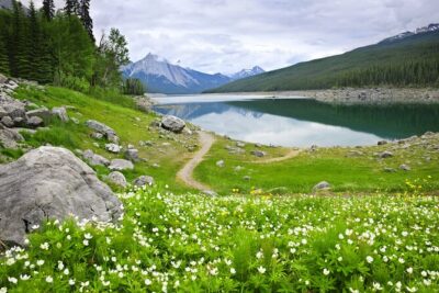 Jasper National Park Self-Guided Driving Audio Tour - The route rhythm: a solid 2–3 hour drive with real variety