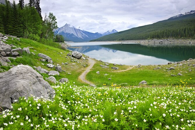 Jasper National Park Self-Guided Driving Audio Tour - The route rhythm: a solid 2–3 hour drive with real variety