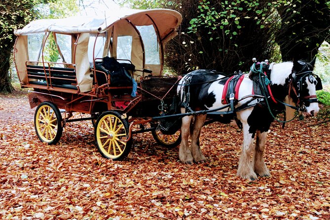 Jaunting Car Tour in Killarney National Park - Meeting at Shepherds Lodge B&B and what the 1-hour timing really means