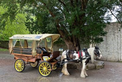 Jaunting Car Tour in Killarney National Park - Killarney National Park UNESCO views in about 45 minutes