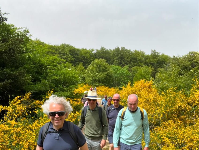 Jeep safari in the Aspromonte National Park - Zomaro Visitor Center access: park context without extra planning