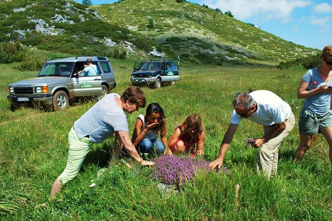 Jeep Safari National Park Galicica - Midday Reset at Galicica (Stop 2): Eat With Locals in a Garden
