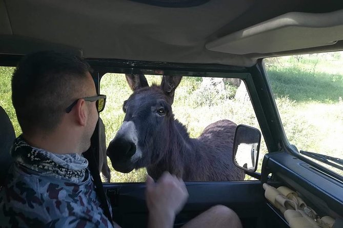 Jeep Safari to Akamas National Park: Avakas Gorge Tour from Paphos - Akamas Peninsula swim stop: quick dip, seasonal timing