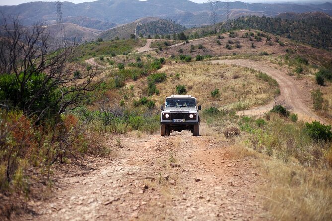 Jeep Safari to Akamas National Park: Avakas Gorge Tour from Paphos - Latchi lunch break: use the time well