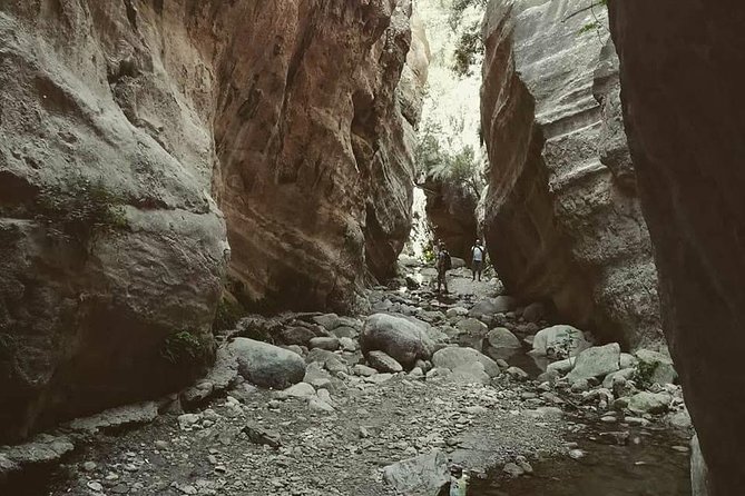 Jeep Safari to Akamas National Park: Avakas Gorge Tour from Paphos - Baths of Aphrodite: legend, shade, and mixed opinions