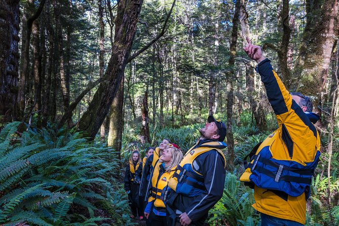 Jet Boat Journey through Fiordland National Park - Pure Wilderness - Lord of the Rings on the water: how the filming stops work in practice