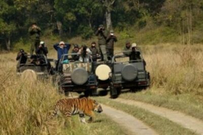 Jim Corbett Jeep Safari - Wildlife Adventure in National Park - Ramnagar Pickup and Ending Back Where You Started
