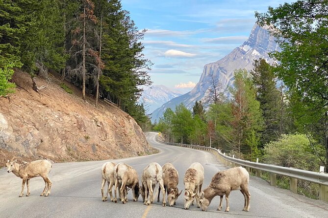 Johnston Canyon, Lake Louise & Banff: Small-Group Day Tour - Small-Group Size, Guides, and Pacing That Doesn’t Feel Like a Rush